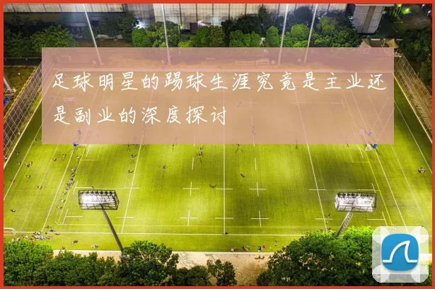 足球明星的踢球生涯究竟是主业还是副业的深度探讨