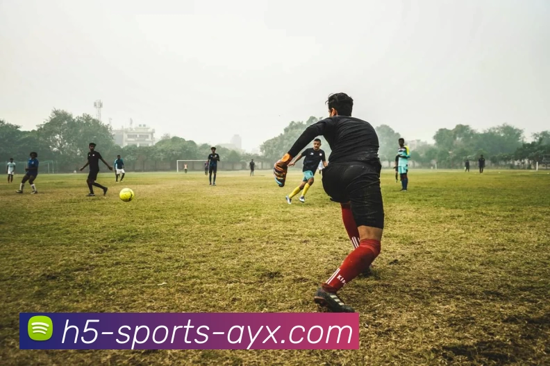 爱游戏平台生态图